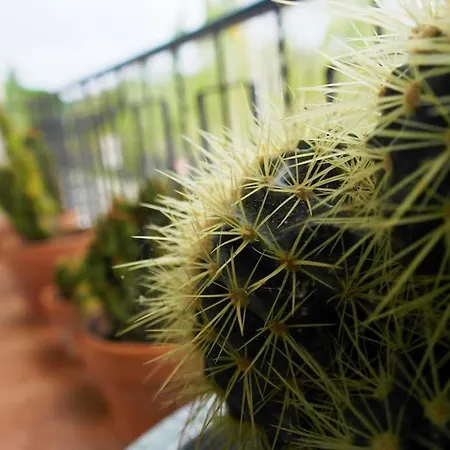 Prázdninový dům Casa Triana