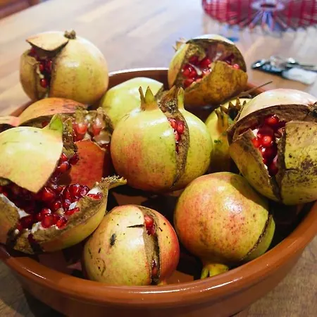 Prázdninový dům Casa Triana