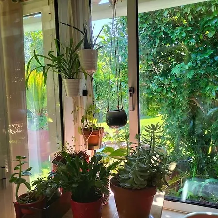 Prázdninový dům Casa Triana Soure