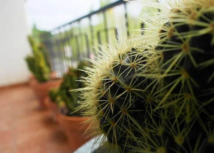 Feriehus Casa Triana