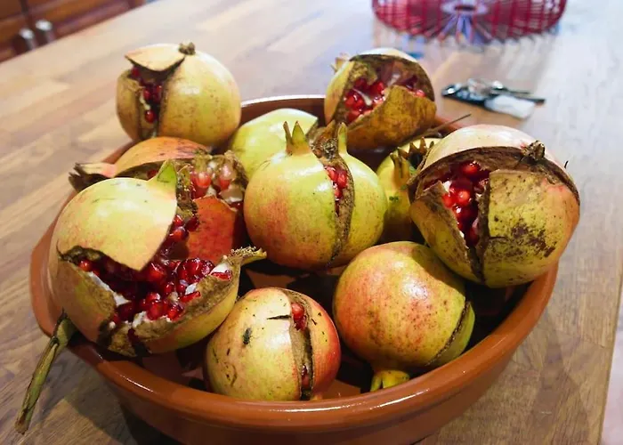 Feriehus Casa Triana