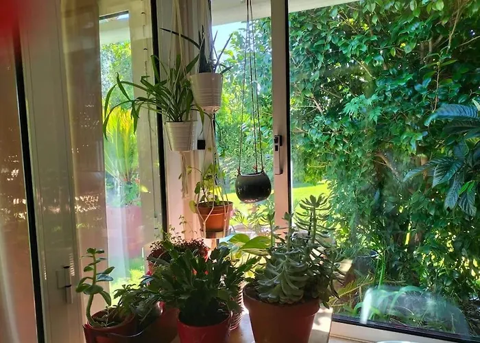 Feriehus Casa Triana Soure